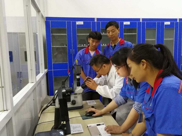 DT电子(中国)集团官网