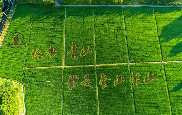 DT电子(中国)集团官网