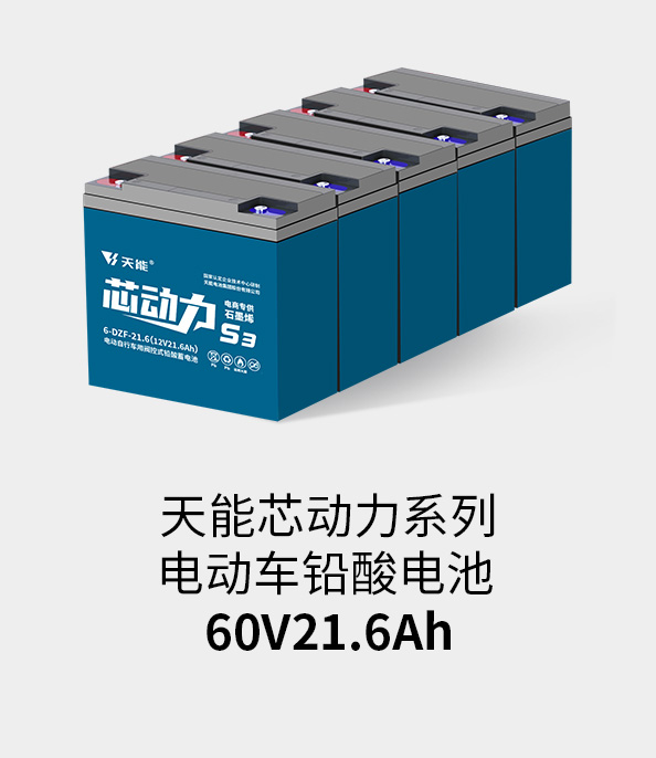 DT电子官网电池60v20ah