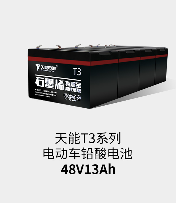 DT电子官网T3系列48v13ah