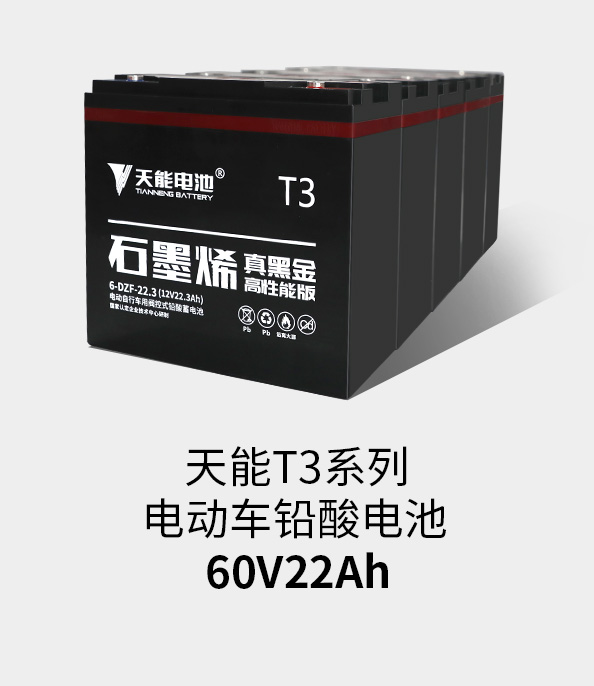 DT电子官网T3系列60v22ah