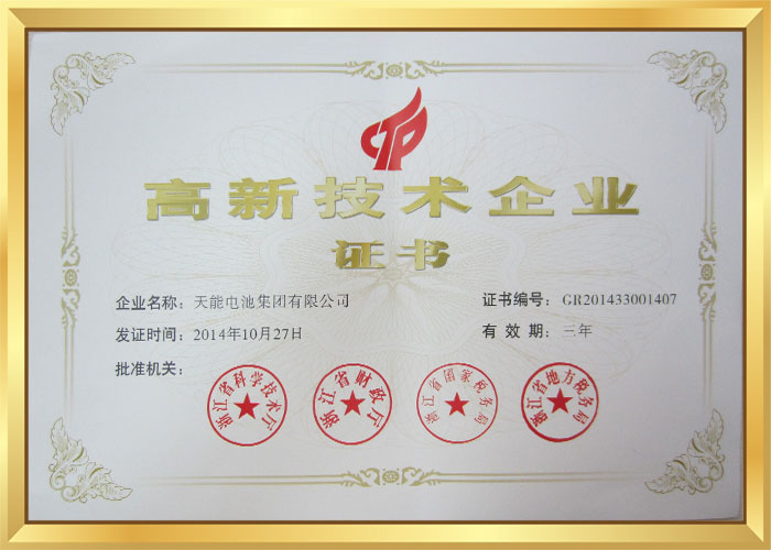 国度高新技术企业